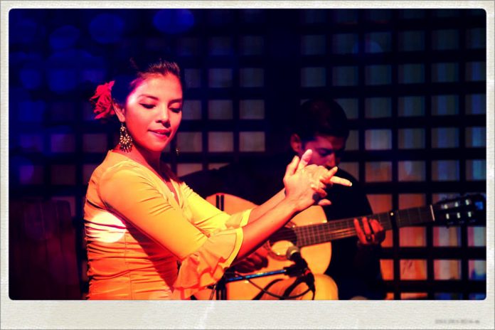 Dance With Me India - School - Shehzeen Cassum Flamenco Academy & Dance Company
